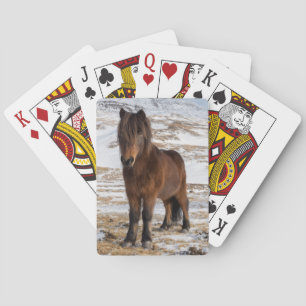 Baraja De Cartas Caballos islandeses en invierno