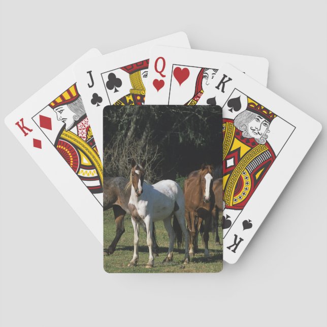 Baraja De Cartas Caballos salvajes 1 del mustango (Reverso)
