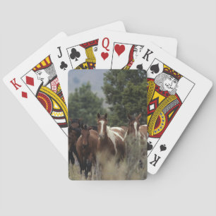 Baraja De Cartas Caballos salvajes 2 del mustango
