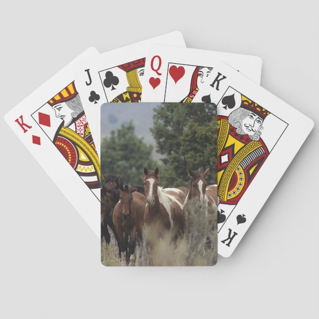 Baraja De Cartas Caballos salvajes 2 del mustango (Reverso)