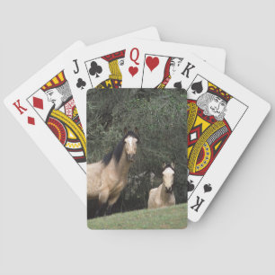Baraja De Cartas Caballos salvajes 6 del mustango