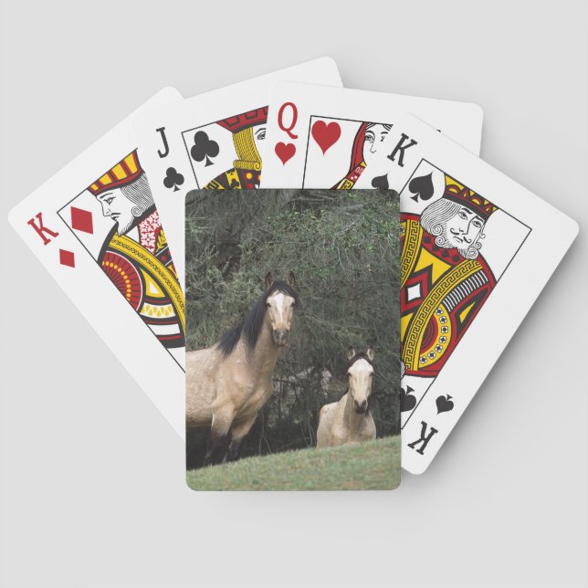 Baraja De Cartas Caballos salvajes 6 del mustango (Reverso)