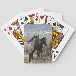 Baraja De Cartas Caballos salvajes de Mustang 5
