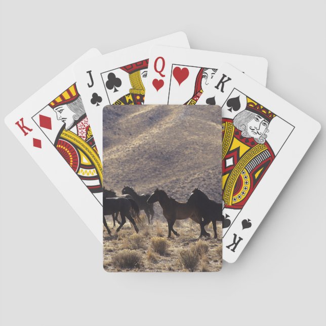 Baraja De Cartas Caballos salvajes de Mustang en el desierto 1 (Reverso)