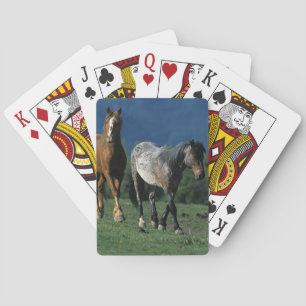 Baraja De Cartas Caballos salvajes del mustango