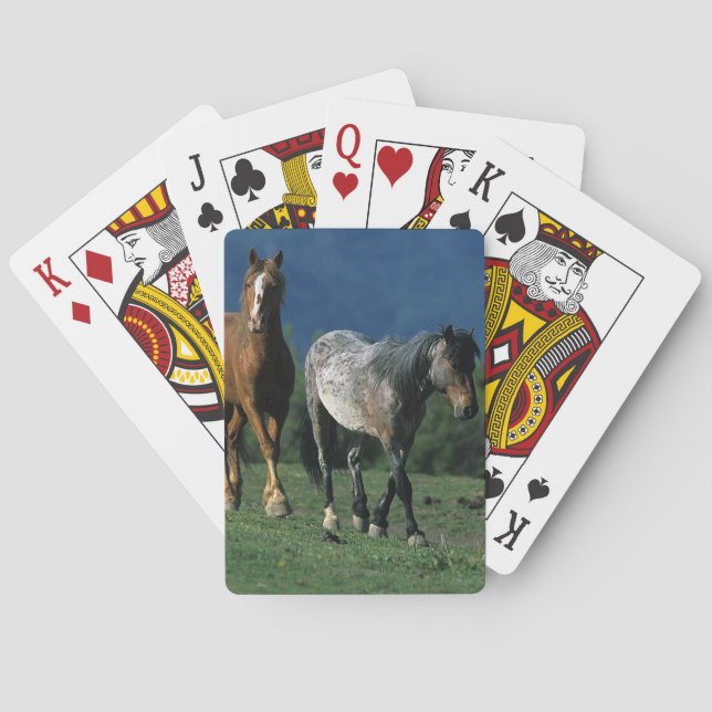 Baraja De Cartas Caballos salvajes del mustango (Reverso)