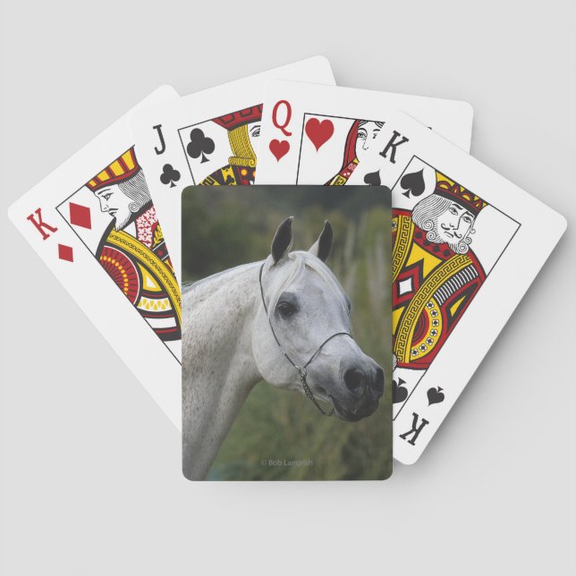 Baraja De Cartas Cabeza de caballo árabe 1 (Reverso)