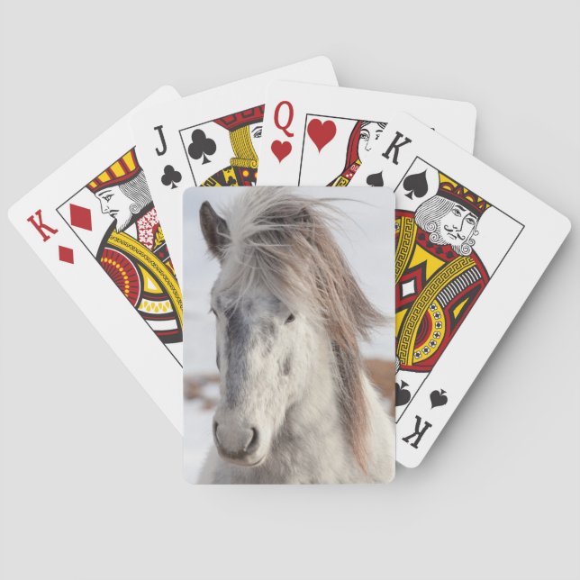 Baraja De Cartas Cabeza de caballo islandés blanco (Reverso)