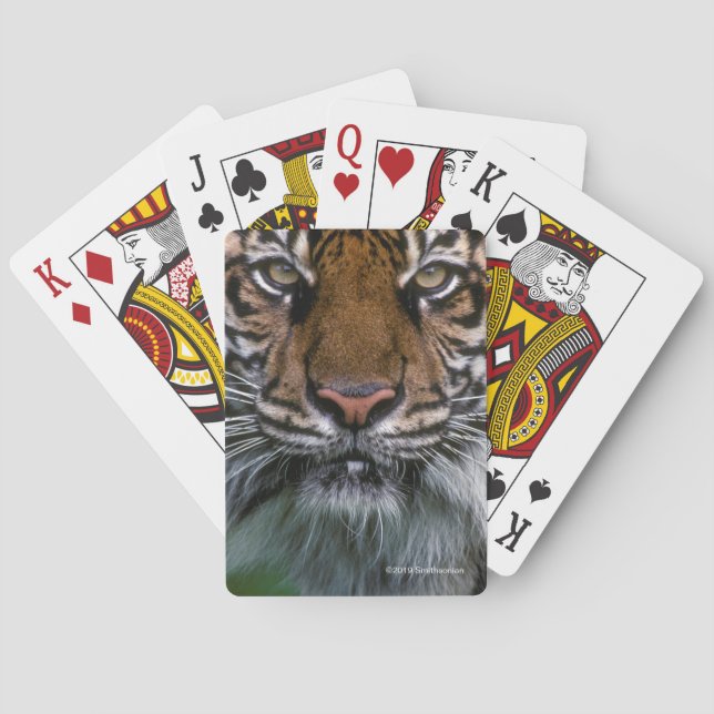 Baraja De Cartas Cabeza y cara del tigre (Reverso)