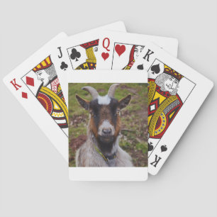 Baraja De Cartas Caca cerca.