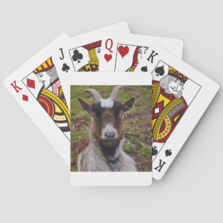 Baraja De Cartas Caca cerca.