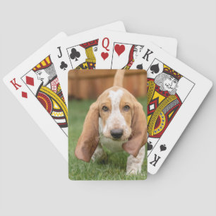 Baraja De Cartas Cachorro de Basset Hound Caminando