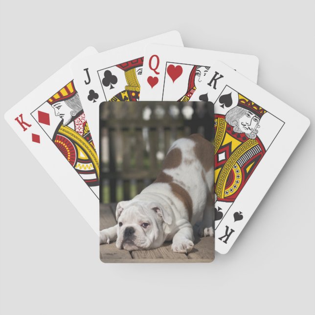 Baraja De Cartas Cachorro de Bulldog inglés (Reverso)