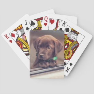 Baraja De Cartas Cachorro De Chocolate En Coche