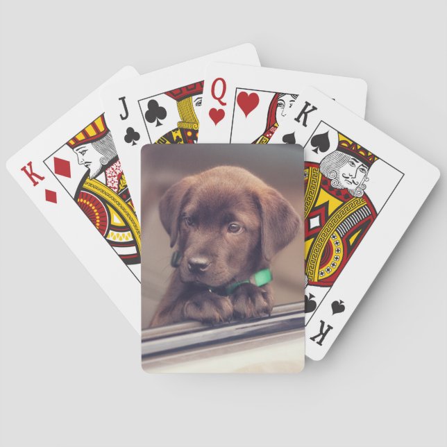 Baraja De Cartas Cachorro De Chocolate En Coche (Reverso)
