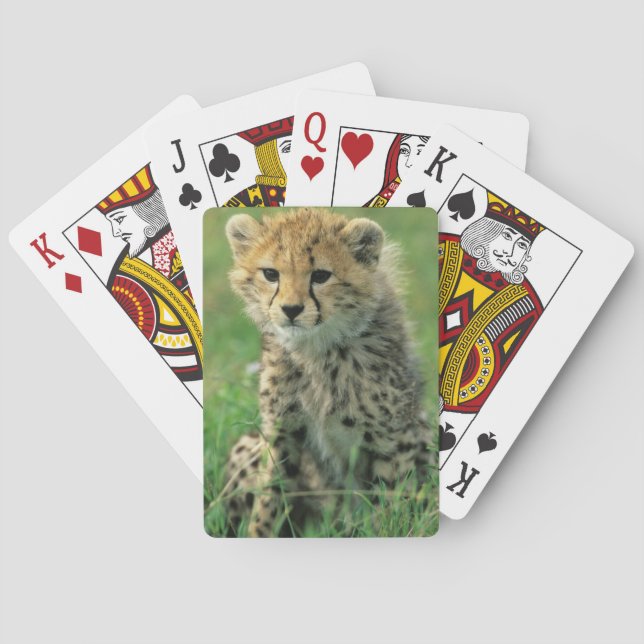 Baraja De Cartas Cachorro de Guepardo Borroso (Reverso)