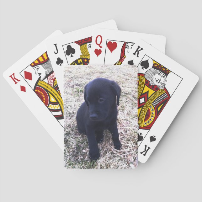 Baraja De Cartas Cachorro de Labrador Negro (Reverso)
