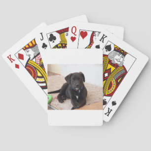 Baraja De Cartas Cachorro de Labrador Negro