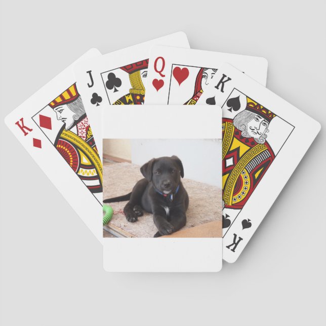 Baraja De Cartas Cachorro de Labrador Negro (Reverso)