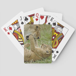 Baraja De Cartas Cachorro de León Jugando