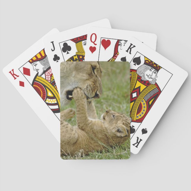 Baraja De Cartas Cachorro de León Jugando (Reverso)
