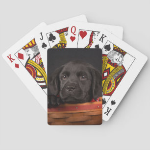 Baraja De Cartas Cachorro de los recién llegados del labrador negro