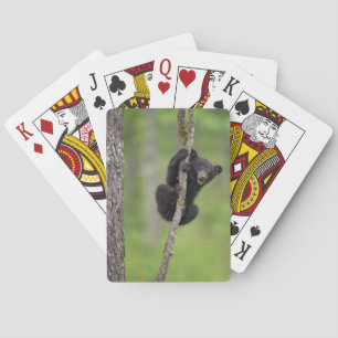 Baraja De Cartas Cachorro de oso negro jugando, Tennessee