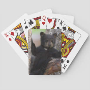 Baraja De Cartas Cachorro de osos negros descansando