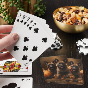 Baraja De Cartas Cachorro de Pastor Belga Delicia de Otoño Calabaza