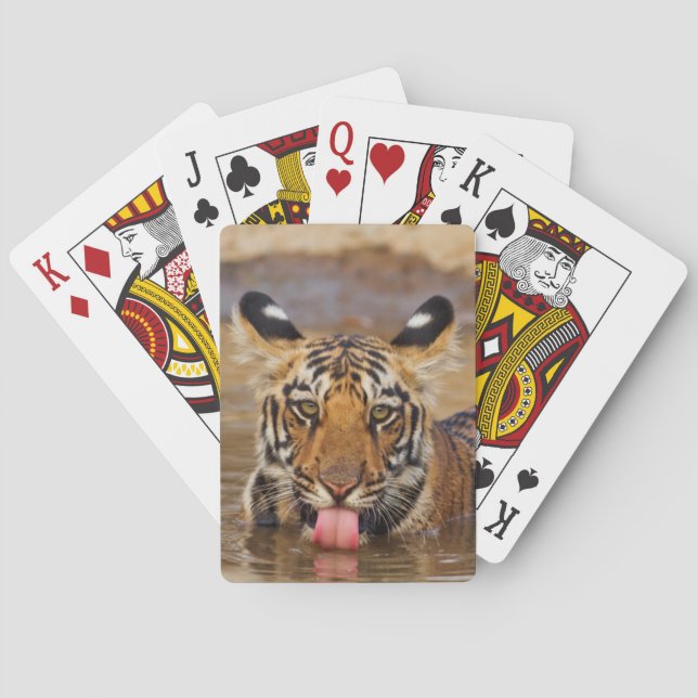 Baraja De Cartas Cachorro de tigre real de Bengala, agua potable (Reverso)