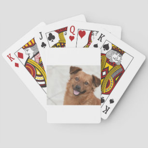 Baraja De Cartas Cachorro Marrón Feliz