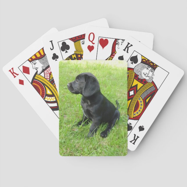 Baraja De Cartas cachorro negro de laboratorio.png (Reverso)