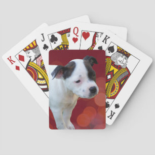 Baraja De Cartas Cachorro negro y blanco,