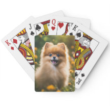 Cachorro panomerano en campo de flores