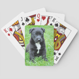 Baraja De Cartas Cachorro Totalmente Adorable