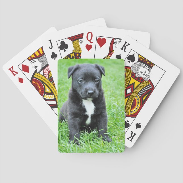 Baraja De Cartas Cachorro Totalmente Adorable (Reverso)
