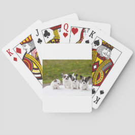 Baraja De Cartas cachorros-453532.jpg