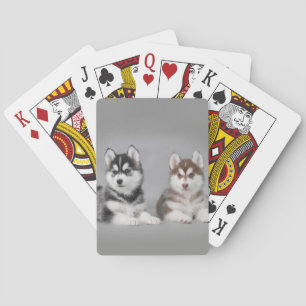 Baraja De Cartas Cachorros caseros siberianos