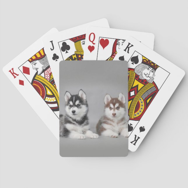 Baraja De Cartas Cachorros caseros siberianos (Reverso)