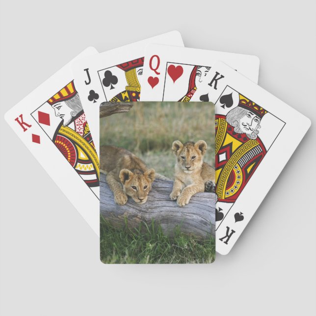Baraja De Cartas Cachorros de León en Tronco (Reverso)