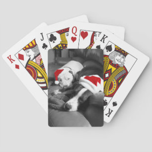 Baraja De Cartas cachorros pitbull dormilones adorables de navidad