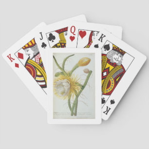 Baraja De Cartas Cactus: Cirio, Plantae Selectae" 175 de Trew de "