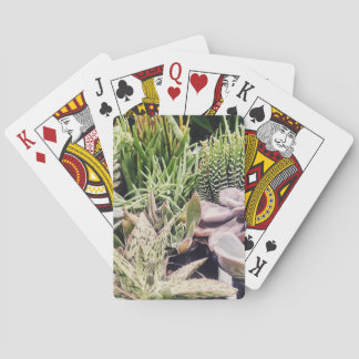 Baraja De Cartas Cactus Garden