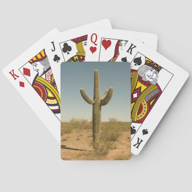 Baraja De Cartas Cactus solitario (Reverso)