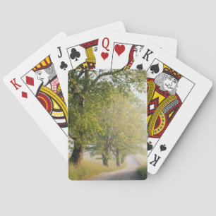 Baraja De Cartas Cades Cove  Grandes montañas Smokey, TN