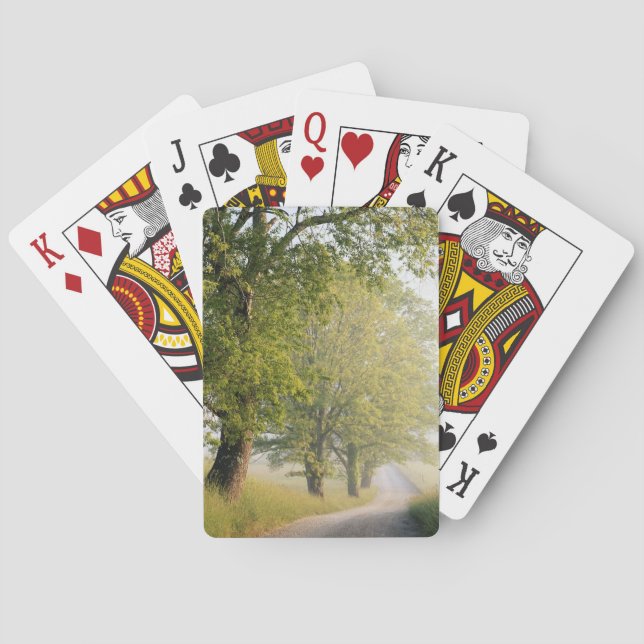 Baraja De Cartas Cades Cove| Grandes montañas Smokey, TN (Reverso)