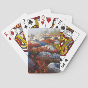 Baraja De Cartas Caída del desierto de los céspedes del carro