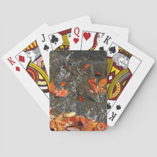 Baraja De Cartas Caídas en cataratas en fotografía de otoño