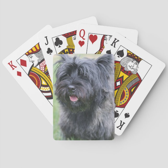 Baraja De Cartas Cairn (Reverso)