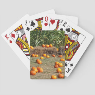 Baraja De Cartas Calabazas, maíz y heno Fotografía de la cosecha de